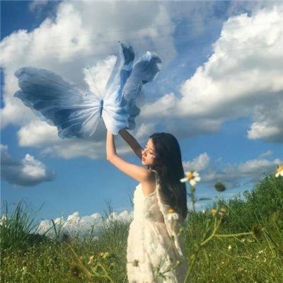 边塞丽春花